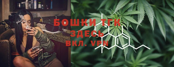 PSILOCYBIN Абаза