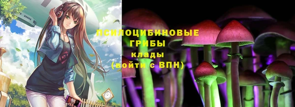 мяу мяу мука Абдулино