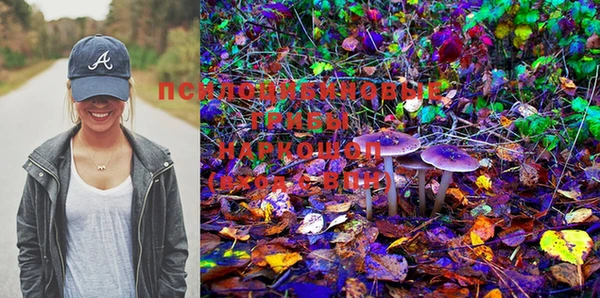 PSILOCYBIN Абаза