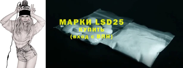 PSILOCYBIN Абаза