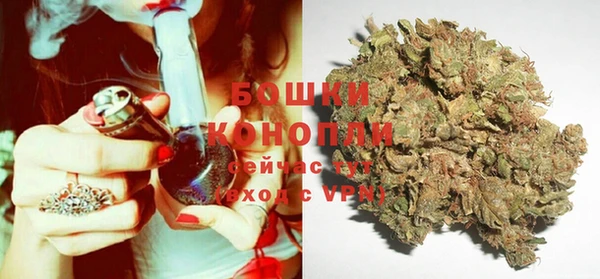 PSILOCYBIN Абаза