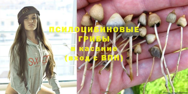 PSILOCYBIN Абаза