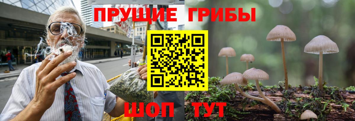 Галлюциногенные грибы Cubensis Серпухов